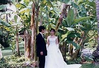 img20031122b-2.jpg