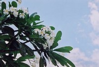 img20041011-5.jpg