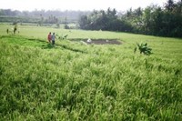 img20061017-9.jpg